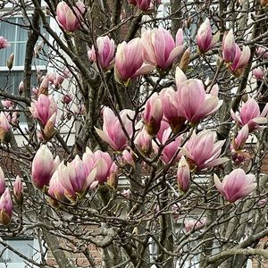 Meet your Posher, Barbara